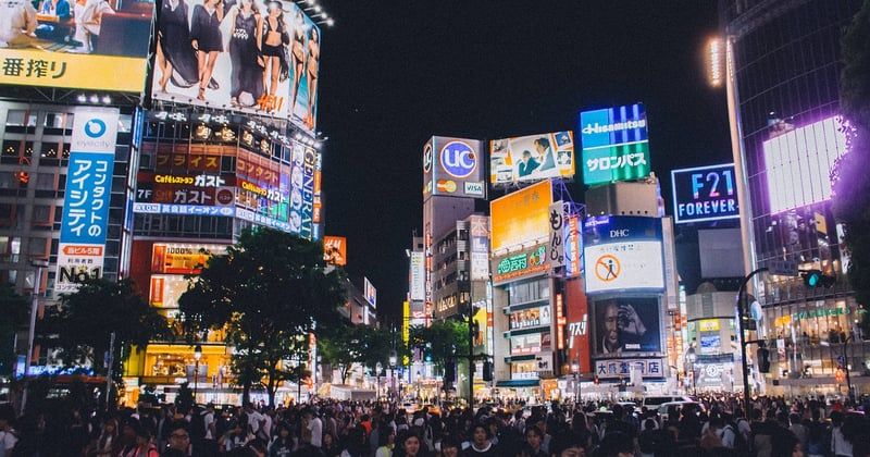 Panneaux japonais occultants : la solution élégante pour votre intimité