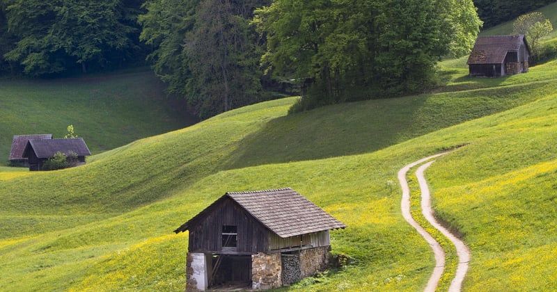 France Cars location voiture et utilitaire : réservez au meilleur prix